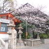 三宮神社の桜は5分から7分咲きってとこやね