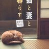 猫と妻と暮らす：蘆野原偲觶