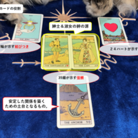 りゅか★ルノルマン ルノルマン】No.14 狐の意味と読み方 - zired