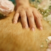 七夕の日に