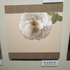 草乃しずか 日本刺繍展 花歌留多