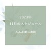 2023年11月のスケジュール