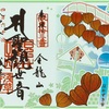 浅草寺の四万六千日限定御朱印（ほおずき市限定）