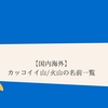 カッコイイ戦闘機の名前一覧 愛称 コードネーム付 クリエイター生活