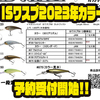 【イマカツ】ミニマムシャッド「ISワスプ2023年カラー」通販予約受付開始！