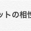 デイ運営とスクワットの相性