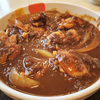 松屋ごろごろチキンカレー　VS　吉野屋チキンスパイシーカレー