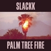  Slackk / Palm Tree Fire