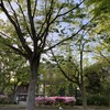 呉の夜、気取らないごちそうと友人時間
