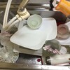 ある保育園での講演で
