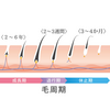 知識０でもわかる！薄毛・抜け毛を9つの原因で徹底解析