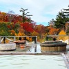 ③蒸ノ湯温泉「ふけの湯」