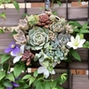 寄せ植え