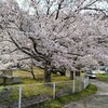 青海神社～大崎の鼻