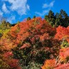 若狭・京都紅葉旅　⑧貴船神社のあゆそばと北野天満宮で合格祈願のお詣りへ