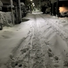 雪という【季節】を感じて思う事