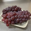 旬を味わう