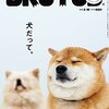 2016/03/01発売の気になるKindle新刊書籍をピックアップ！　松岡圭祐　万能鑑定士Ｑの事件簿など