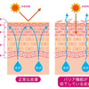 目元小じわ・ちりめんじわの原因って？効果のあるクリームLILA-リラ