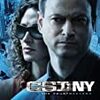 CSI:ニューヨーク S4 #7　制裁　Commuted Sentences