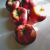 アップル社ってこういうの好きそう