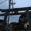 今日はお休み