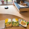 質素なお弁当｜たんぽぽさんはどこへ？