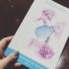 白い雪と無垢な薔薇のコントラスト