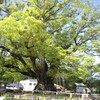 80km 箕面駅前〜高山〜野間峠〜池田