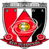 Salaries of J.League Urawa Red Diamonds Players in 2018