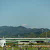 似たような姉弟　（20世紀少年　第532回）