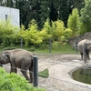Oregon Zoo