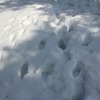 遊んでくれてありがと