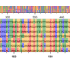 sequence alignmentをBokehを使ってインタラクティブに表示してみる