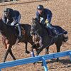 １９日に美浦・手塚厩舎へ帰厩。次走の鞍上が岩田望Ｊに決まりました。☆ドゥラモンド