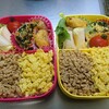 「鶏そぼろと卵の２色弁当」