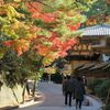 　宮島の紅葉