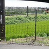 小目谷地区の我が家の水稲の空中散布、無事終わりました。