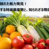 神奈川の隠れた魅力発見！地元が愛する特選農産物と、知られざる物語を巡る旅