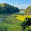 大福寺池（福岡県宇美）