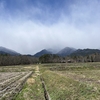 2025/04/16 水曜日　松川村有明山社の桜