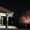 夜桜＠小湊鉄道高滝駅