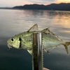 釣りに行ってきた！
