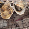 ひろしまオイスターロード　呉で牡蠣食べる！