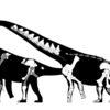American last Sauropods