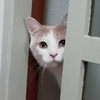 ひろゆきさんに物申す？