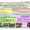 2019年2月14日（木）第8回　核ごみに関する政府との会合　質問内容