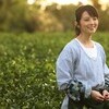 映画感想「種まく旅人〜みのりの茶〜」「昼下がり、ローマの恋」