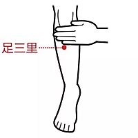 足三里とは 一般の人気 最新記事を集めました はてな 足三里とは 一般の人気 最新記事を集めました はてな