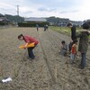 小麦の体験型オーナー制　スタート